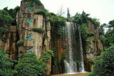 趣四川丨将文化创意融入旅游 看四川如何让乡村旅游变文艺范
